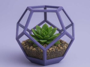 Terrario Mini Dodecaedro